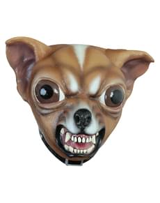 Máscara de perro Chihuahua para adulto