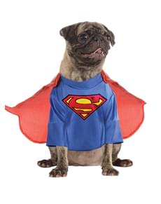 Superman costume for a dog
