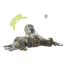 Uit de aarde komende zombie