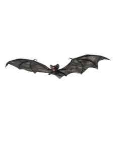 Pipistrello con ali grandi
