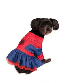 Spidermann Kostyme Kjole Hund