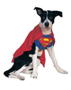 Superman Hundekostyme