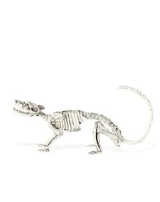Mouse Skeleton