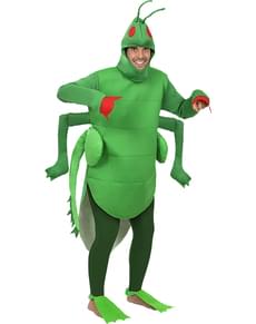 Costum lăcustă pentru adulți