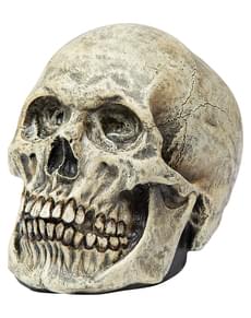 Figurine tête de mort décorative