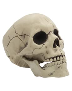 Calavera decorativa Halloween