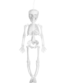 Hanging skeleton