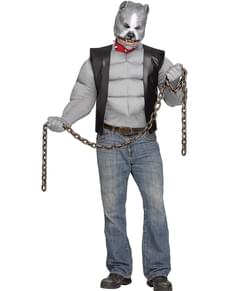 Disfarce de pitbull motorista para homem