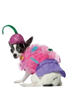 Déguisement de cupcake pour chien