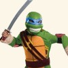 Teenage Mutant Ninja Turtles