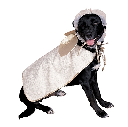 costume da angelo per cane