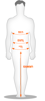 מדריך מידות: Hombre