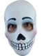 Masque de Day Of The Dead : Catrina