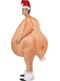 Inflatable Christmas Turkey Adult Costume