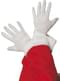 Guanti Babbo Natale Deluxe
