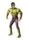 Muscular Hulk Costume for men