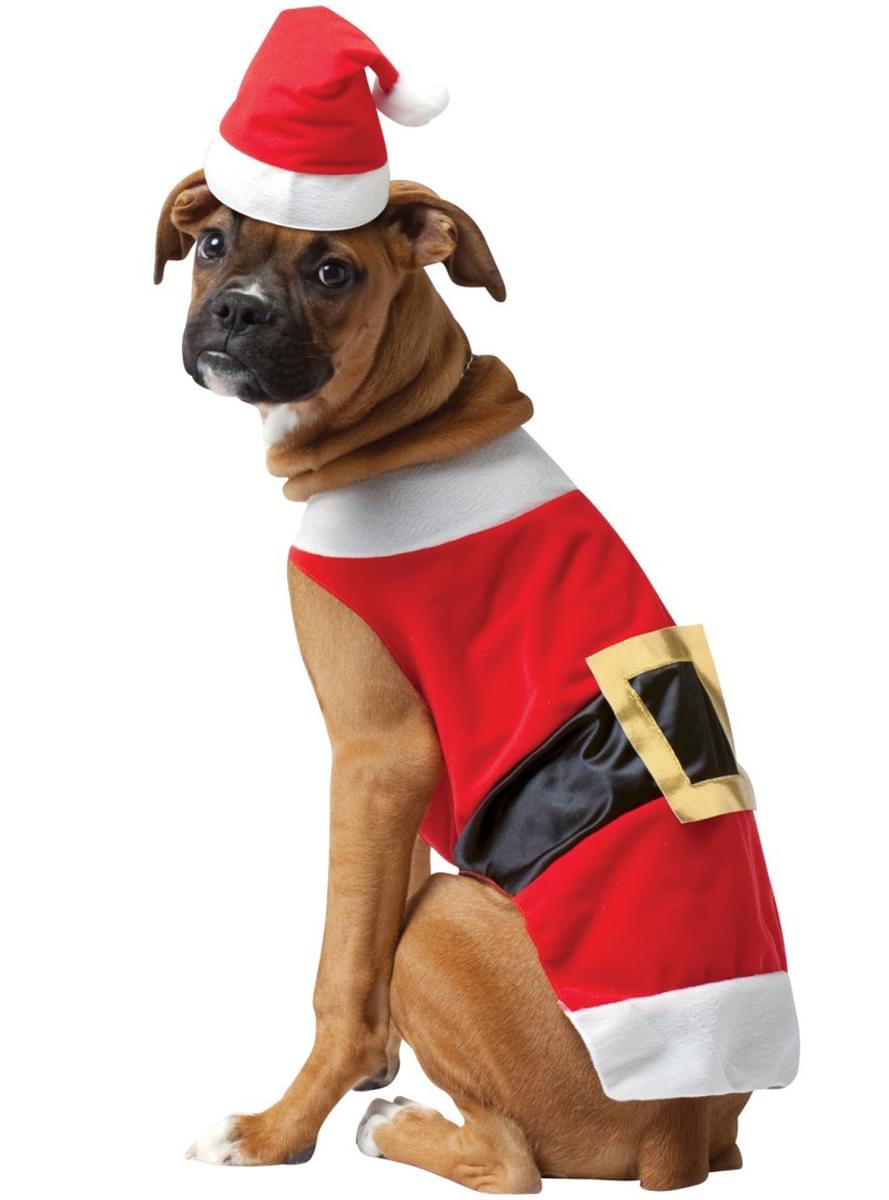 Costume de Père Noël pour chien. Les plus amusants | Funidelia