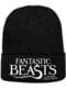 Bonnet Les Animaux fantastiques Logo