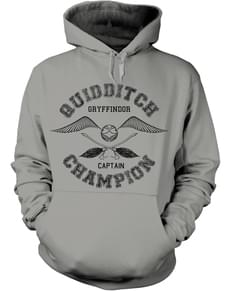 Harry Potter Quidditch Champion hoodie