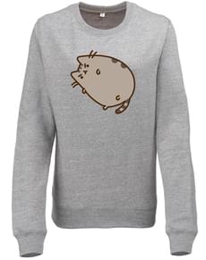 Pusheen Grumpy sweatshirt for adults