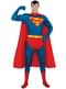 Second Skin Superman Adult Costume