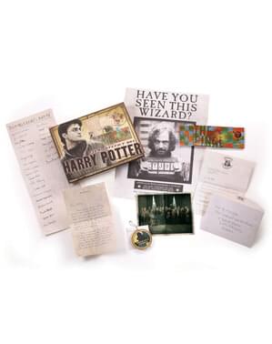 Artefakt Box Harry Potter