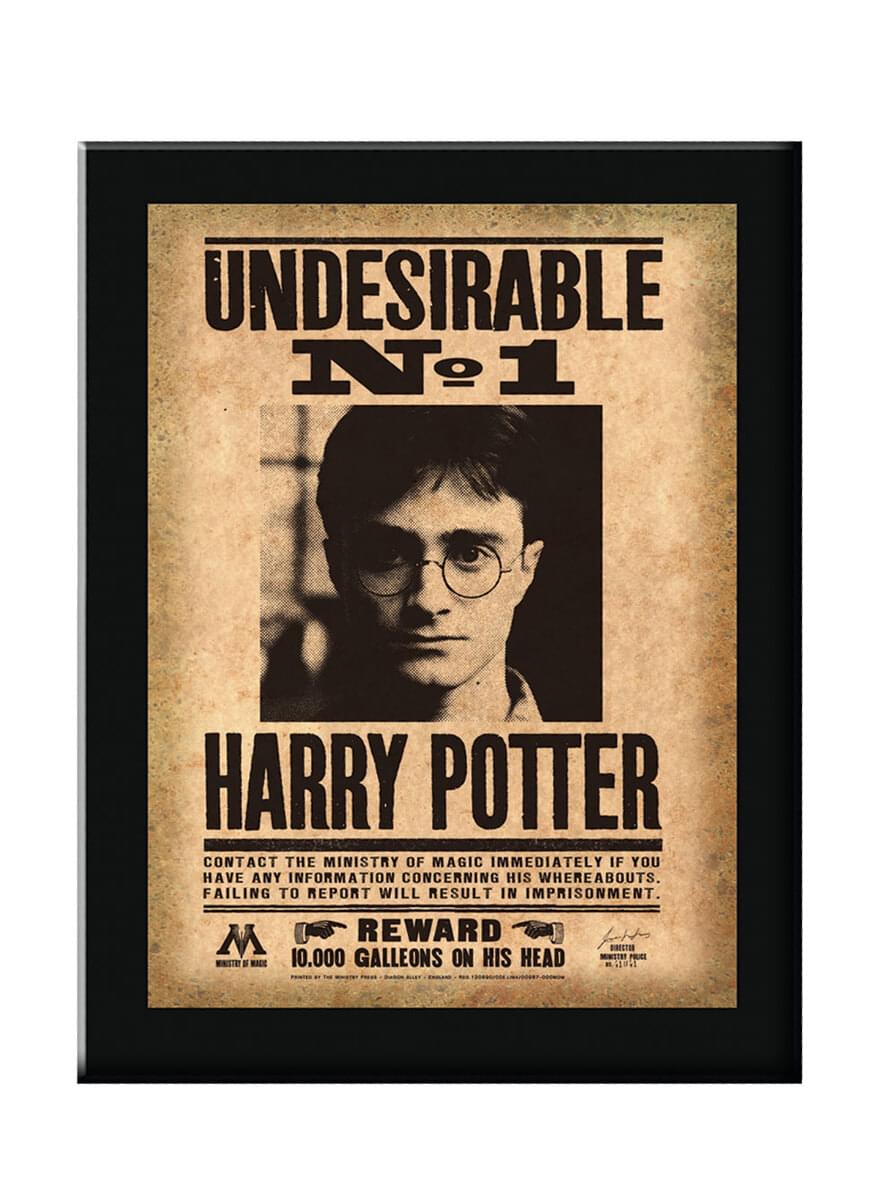 Skylt som säger Indeseable N°1 Harry Potter 