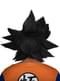 Goku lasulja - Dragon ball