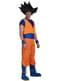 Goku Costume - Dragon Ball