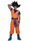 Goku Kostume - Dragon Ball