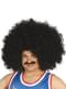 Gigantic Black Curly Wig