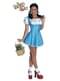 Dorothy kostume