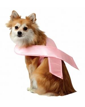 Fita cor-de-rosa para cão