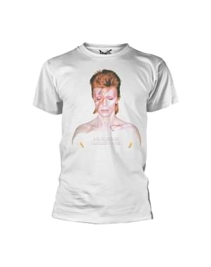 David Bowie Aladdin Sane t-shirt voor mannen