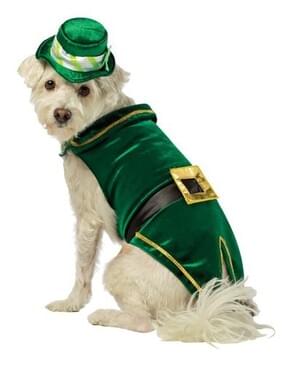 Disfraz de Leprechaun Deluxe para perro