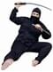 Plus Size Ninja Adult Costume