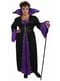 Plus size witch adult costume