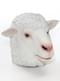 Masque de mouton