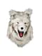 Masque loup garou moving mouth adulte