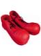 Pantofi de clown