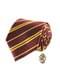 Harry Potter Slips og Gryffindor Pin