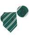 Slytherin tie and pin pack deluxe box - Harry Potter