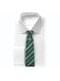 Pack gravata e pin Slytherin caixa deluxe - Harry Potter