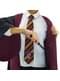 Mantello Harry Potter Grifondoro deluxe per adulto (replica ufficiale per collezionisti)