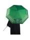 Slytherin umbrella - Harry Potter