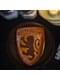 Gryffindor baking mould