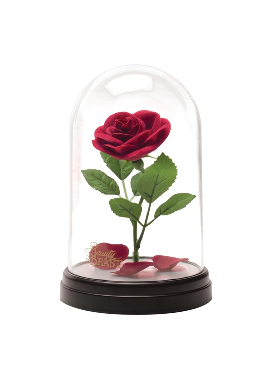 Rosa incantata di La Bella e la Bestia in vetrina illuminata