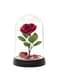 Beauty and the Beast enchanted Rose