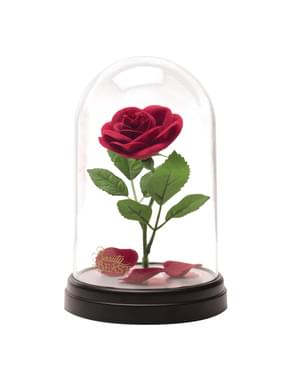 Enchanted Rose - grožis ir žvėrys figūra apšviestame ekrano korpuse
