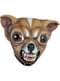 Chihuahua dog mask for adults